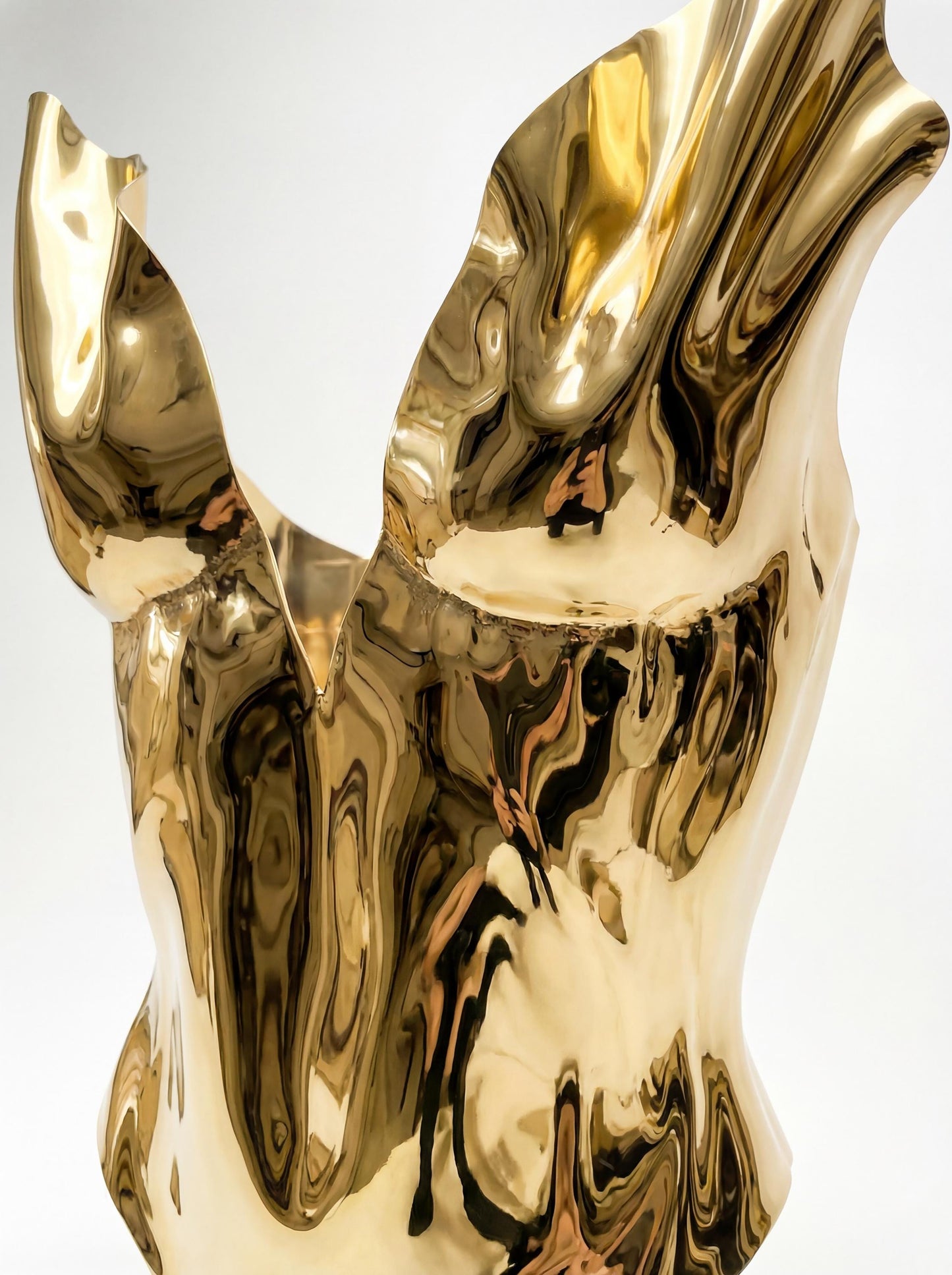 Golden corset Starlight