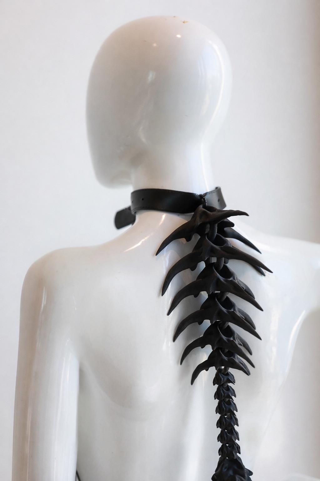 The spine harness