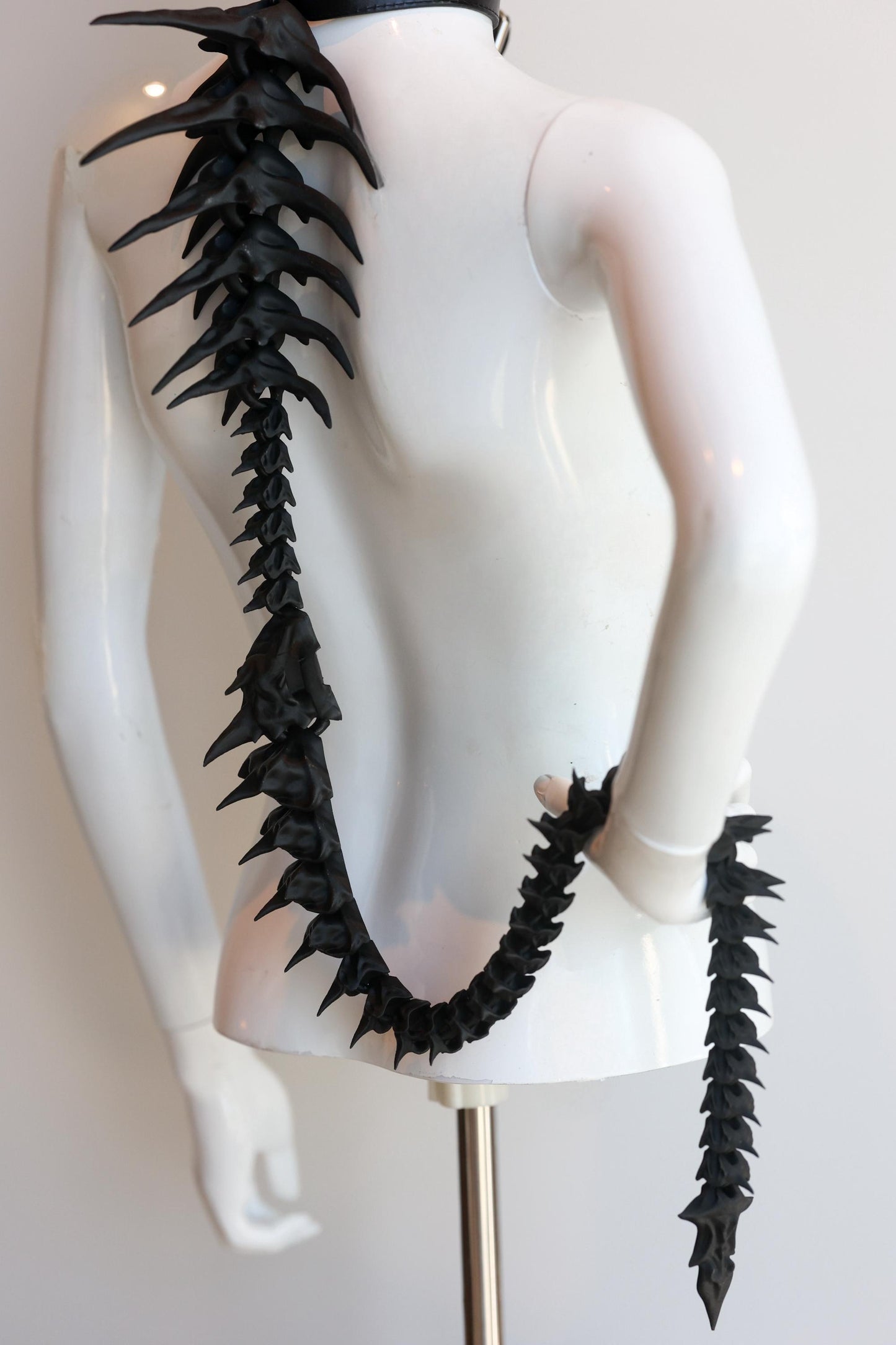 The spine harness