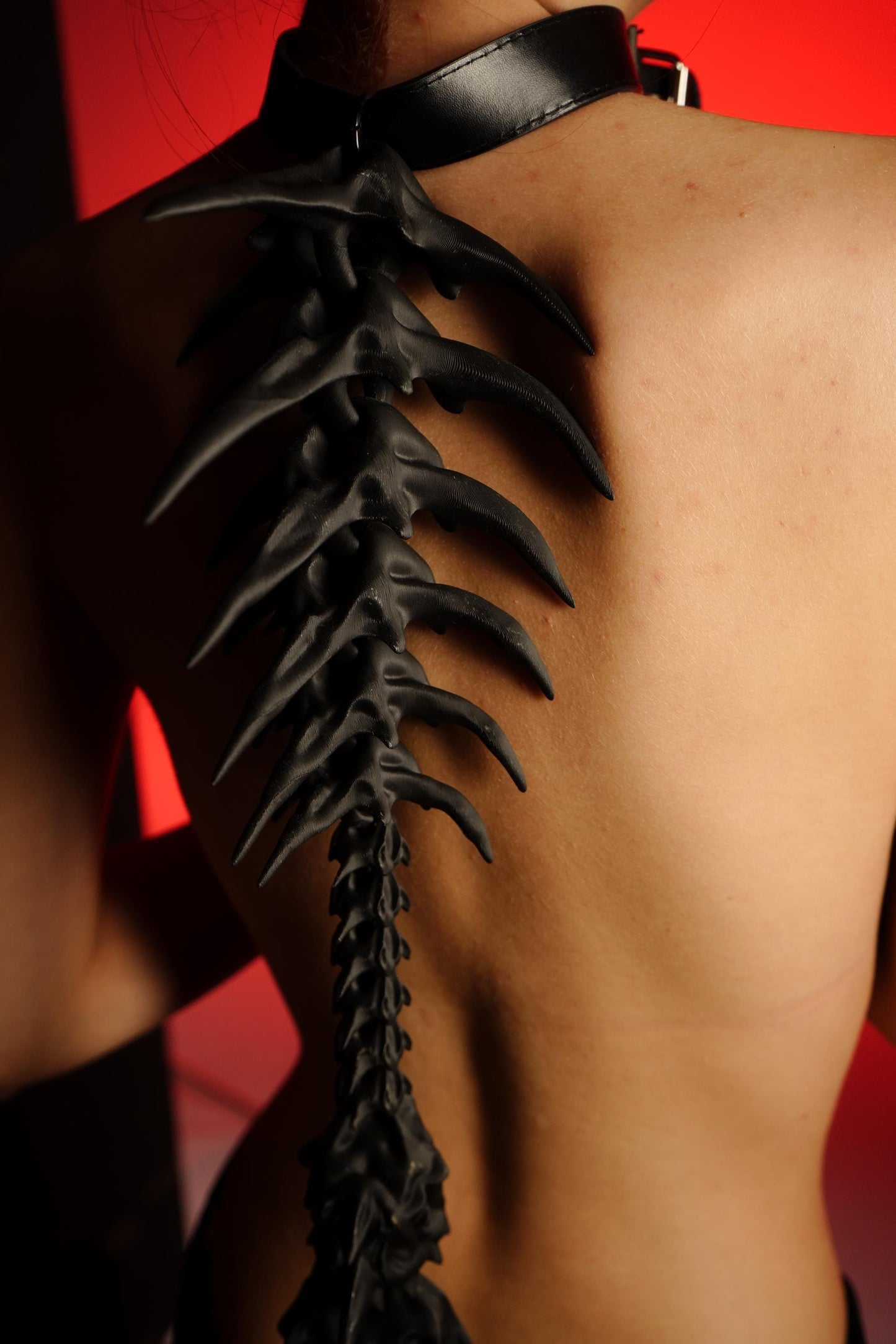 The spine harness