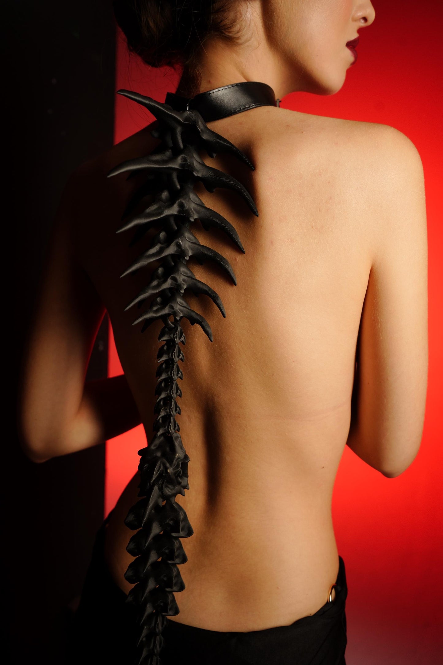The spine harness