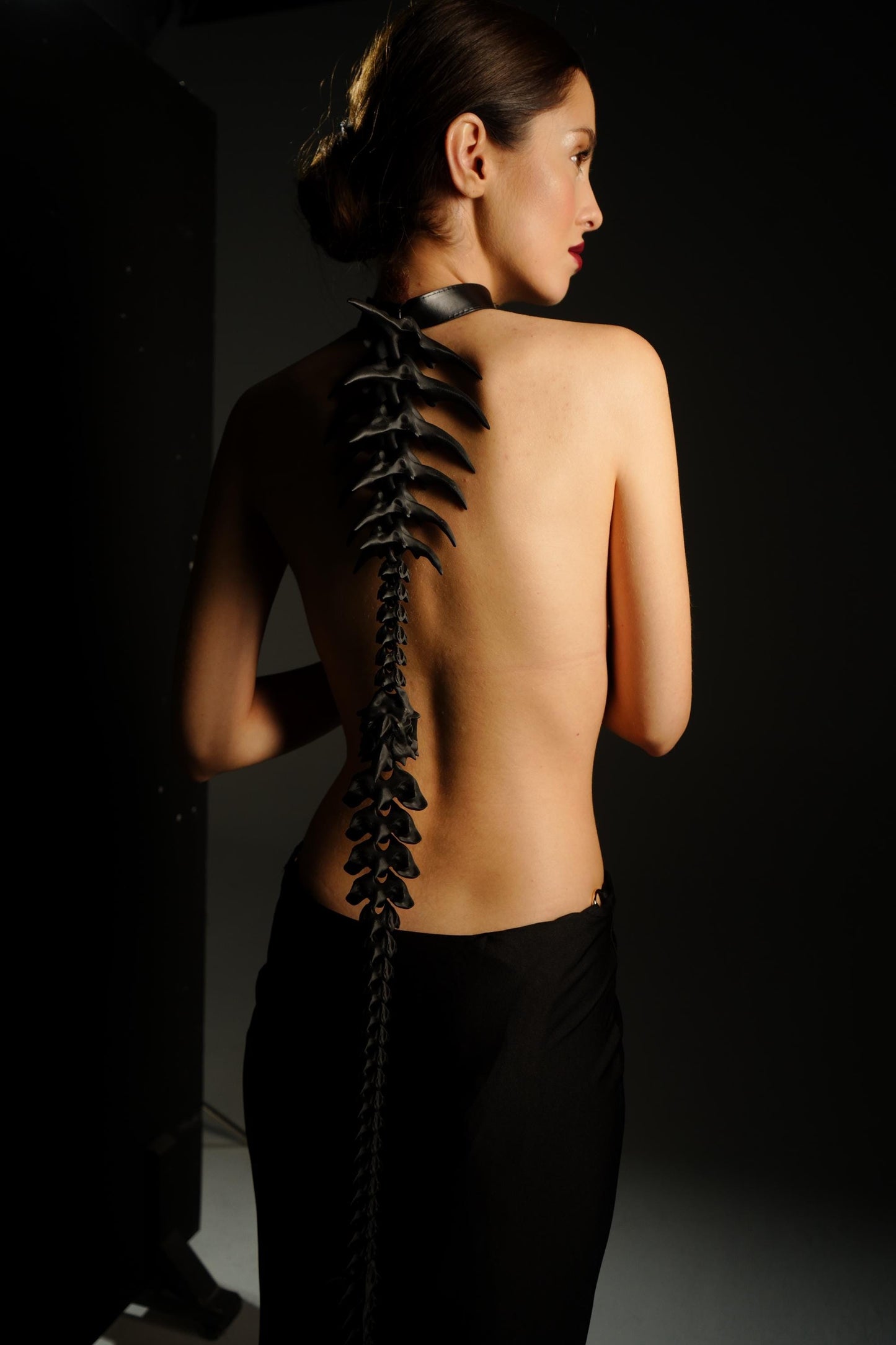 The spine harness