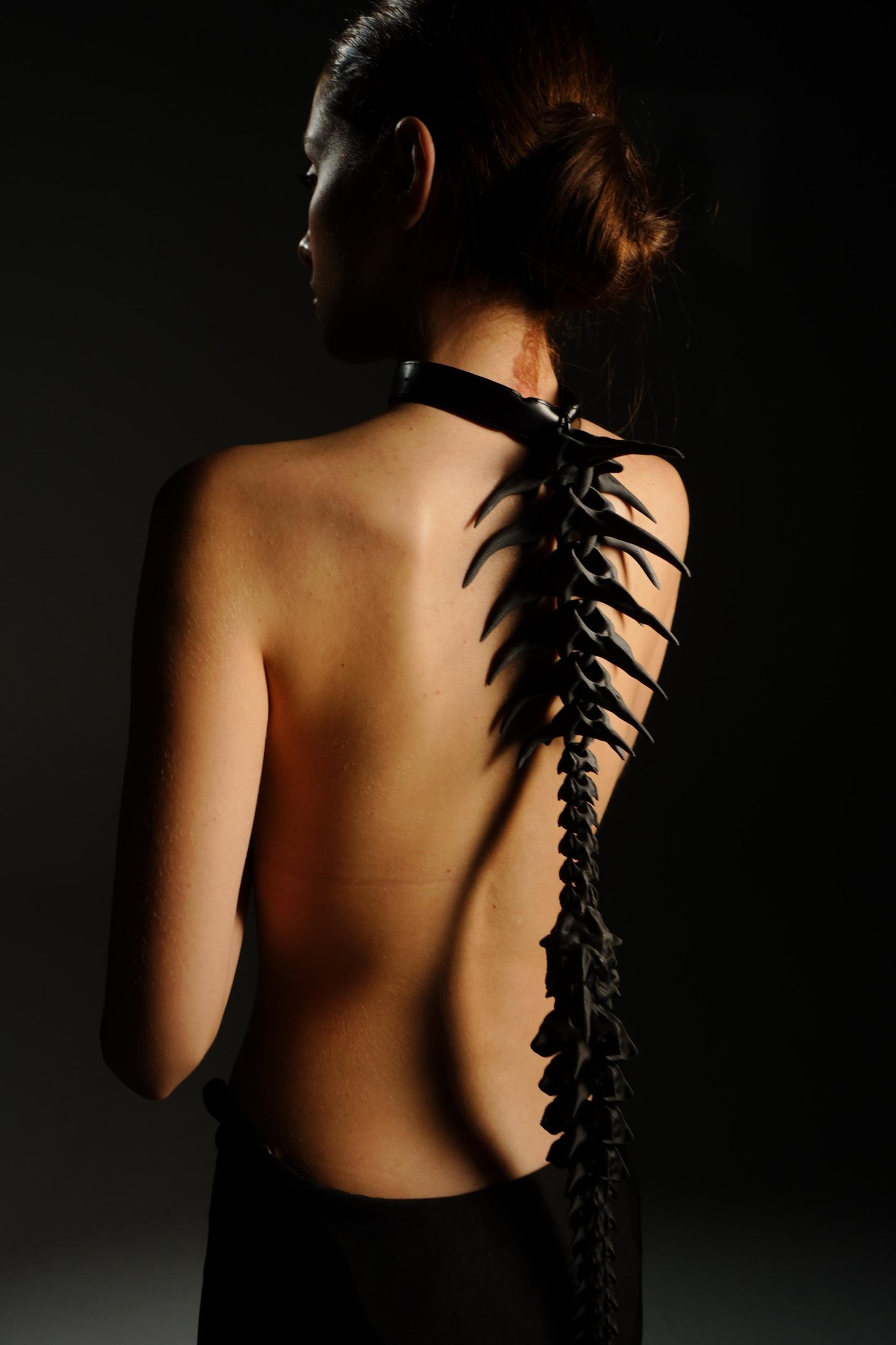 The spine harness