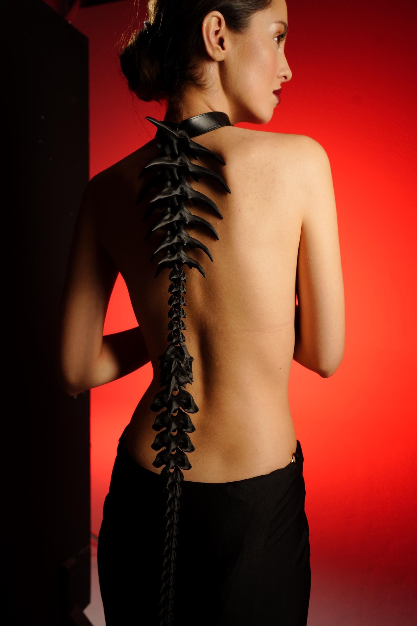 The spine harness