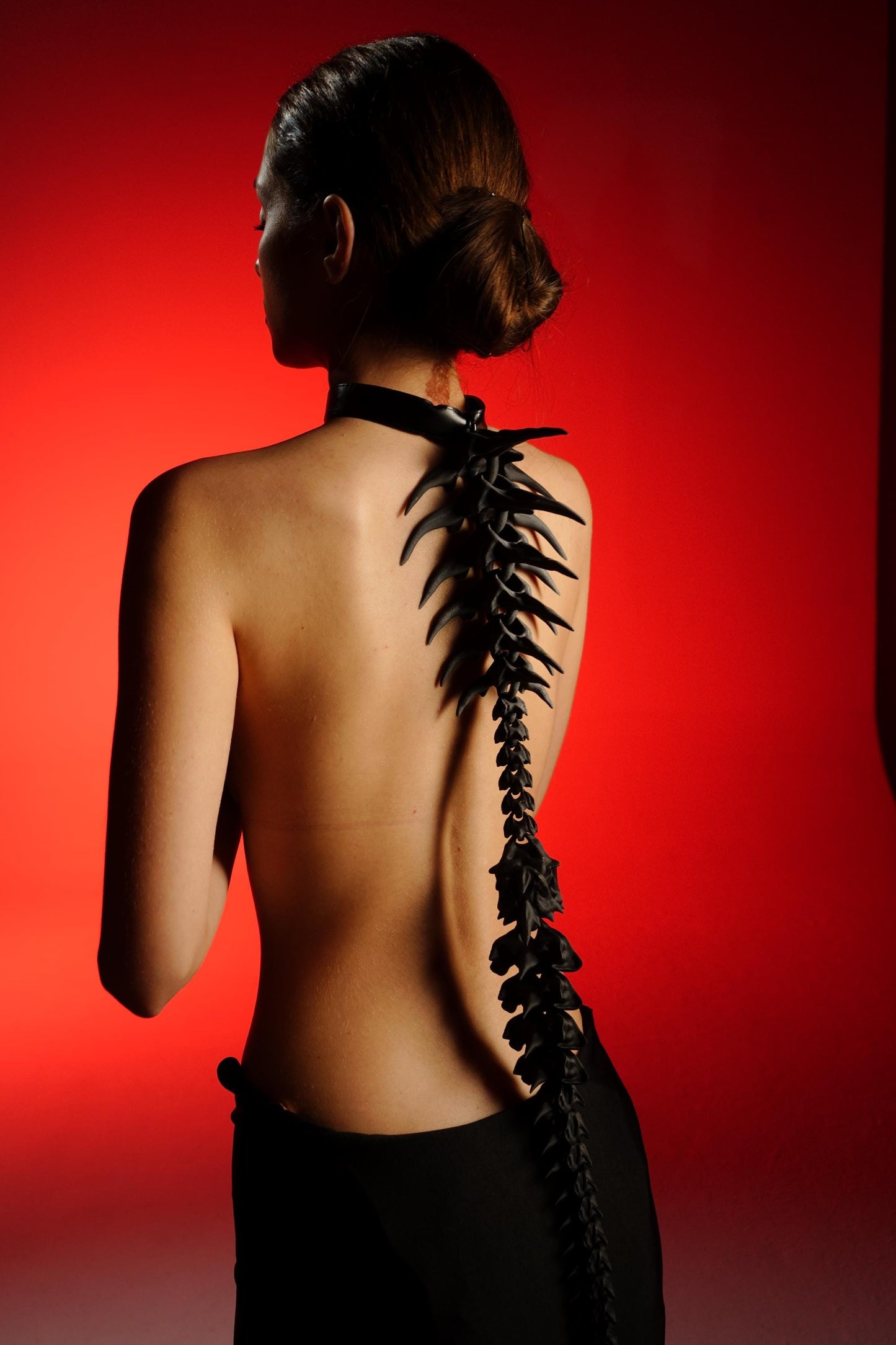 The spine harness