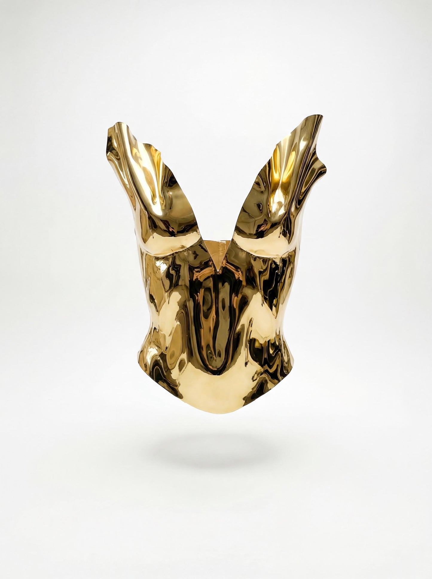 Golden corset Starlight